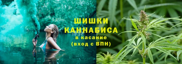 PSILOCYBIN Аркадак