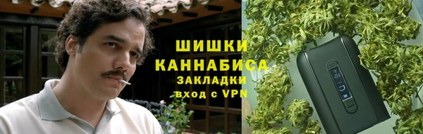PSILOCYBIN Аркадак