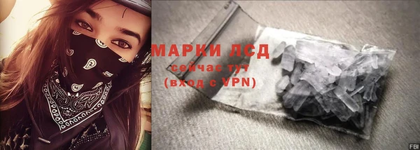 PSILOCYBIN Аркадак