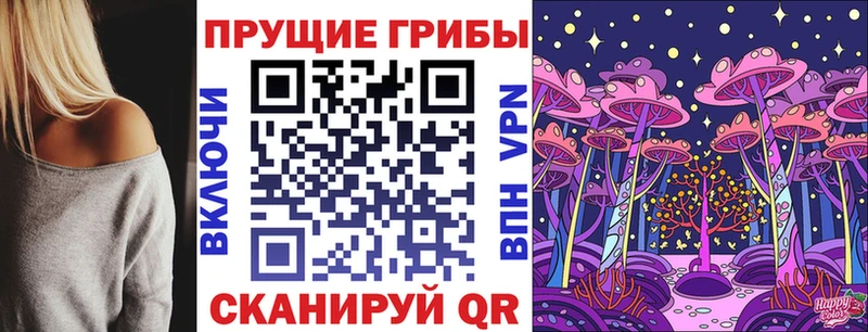 Галлюциногенные грибы Psilocybine cubensis  купить закладку  Фрязино 