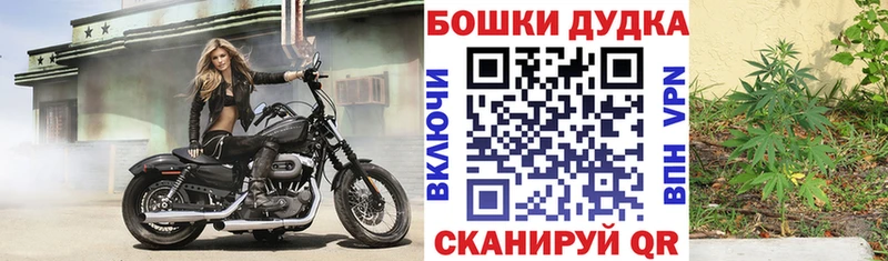 где найти наркотики  Фрязино  кракен ONION  Каннабис марихуана 